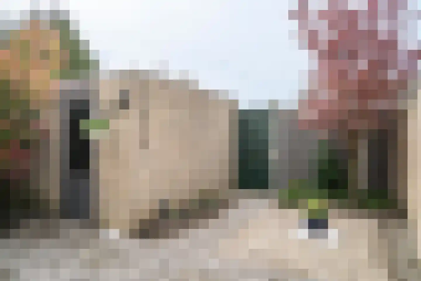Chopinlaan 15 Helmond thumbnail 36