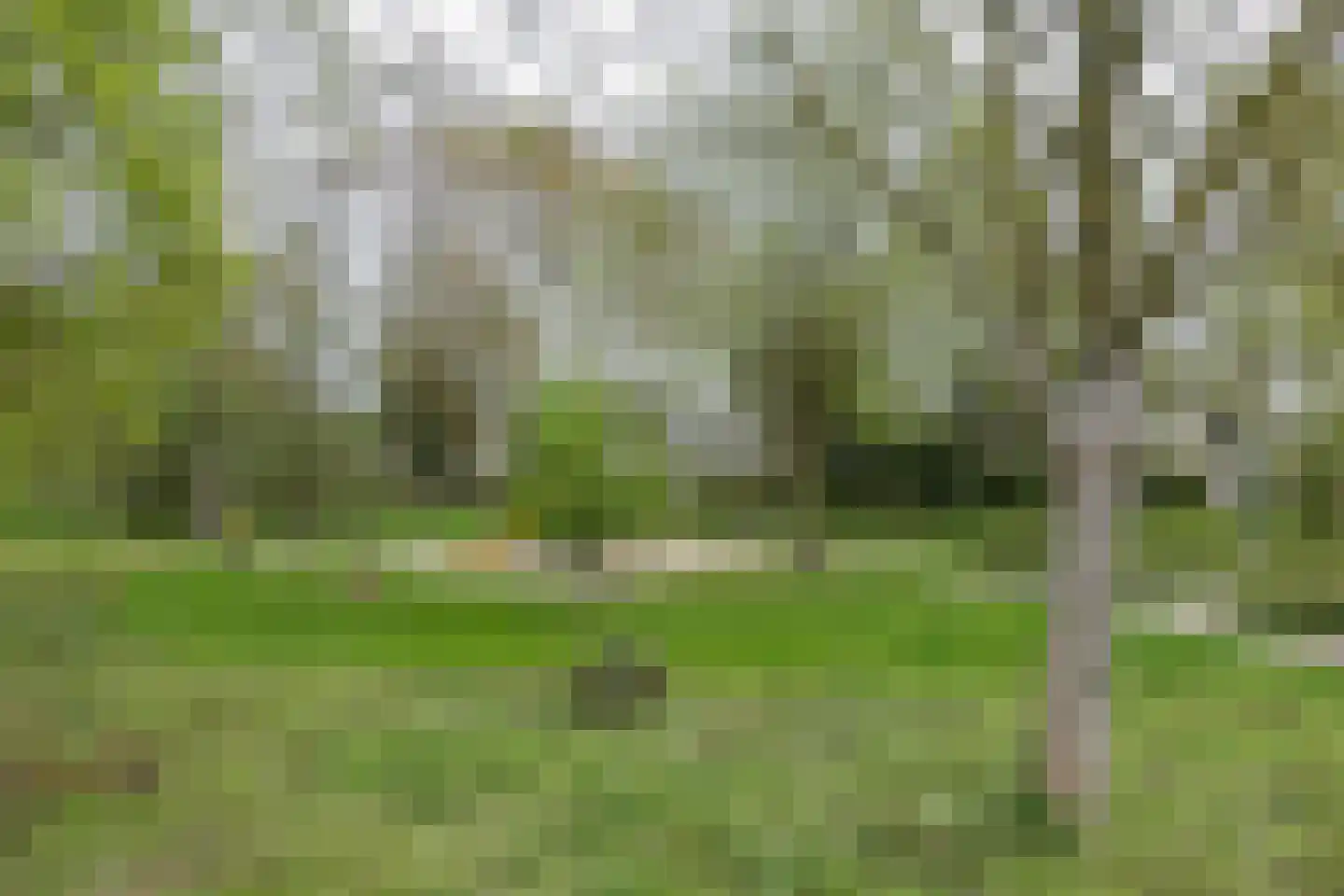 Chopinlaan 15 Helmond thumbnail 44