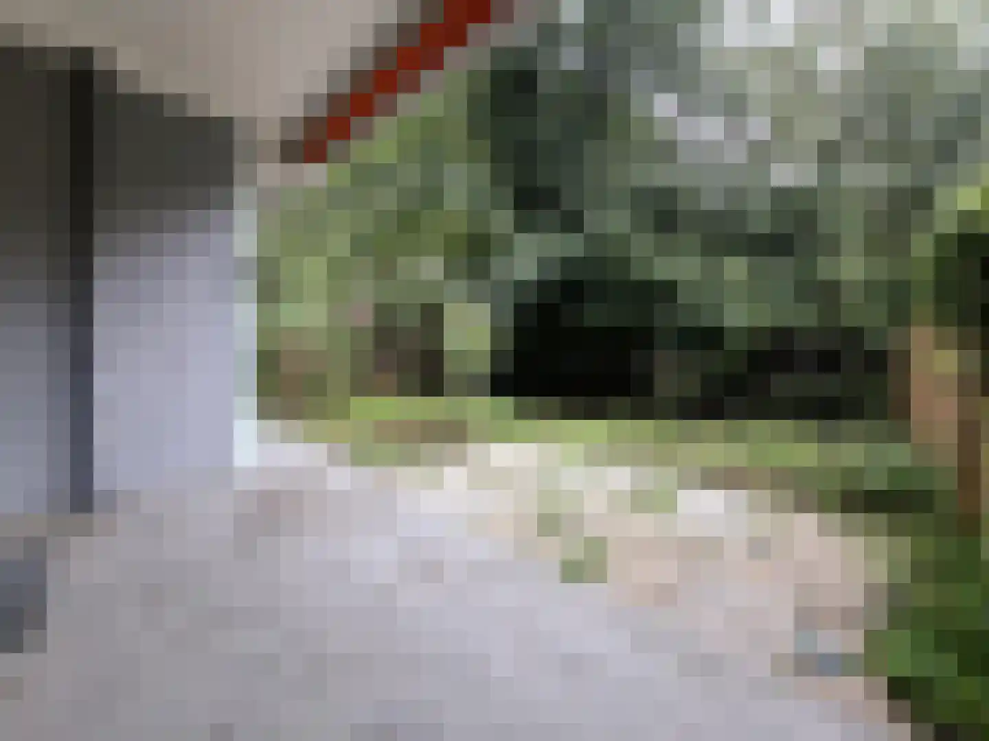 Chopinlaan 18 Delft thumbnail 22