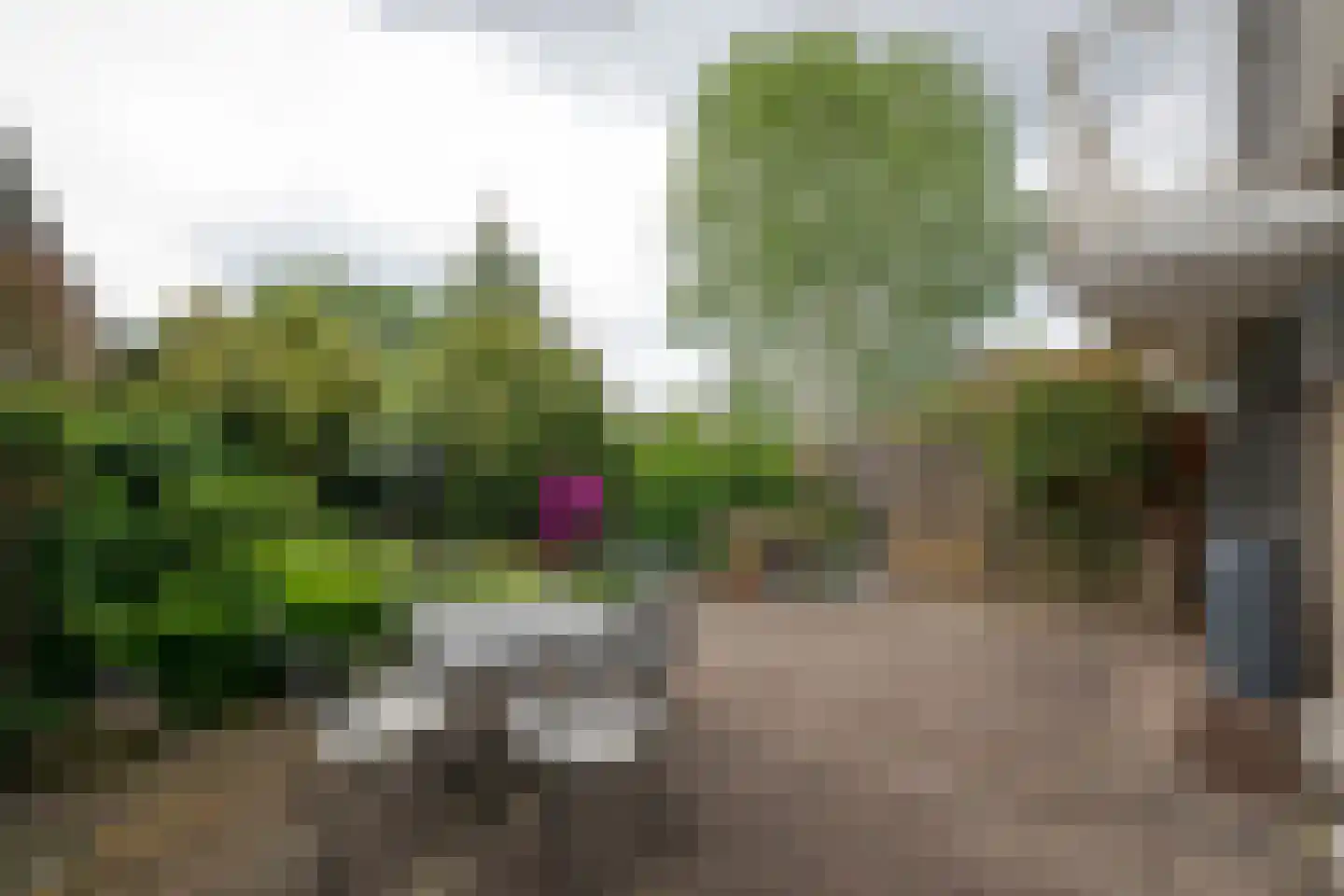 Chopinlaan 19 Voorschoten thumbnail 13