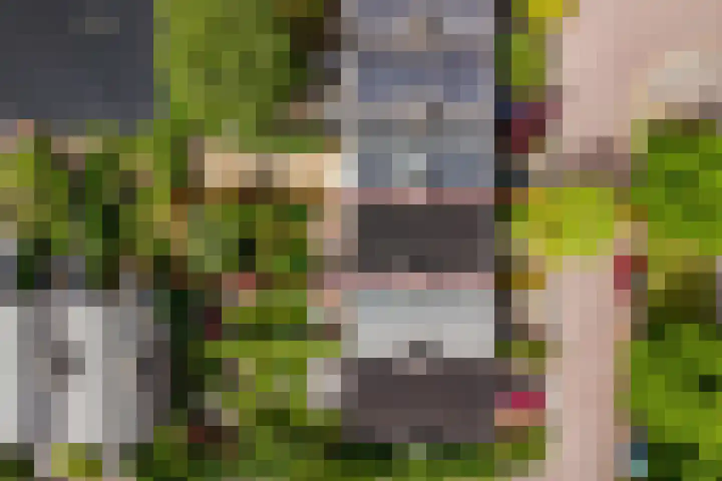 Chopinlaan 19 Voorschoten thumbnail 15