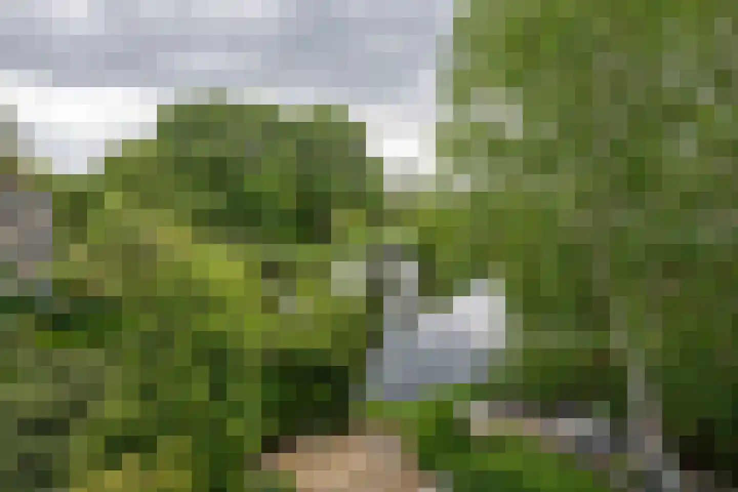 Chopinlaan 19 Voorschoten thumbnail 19