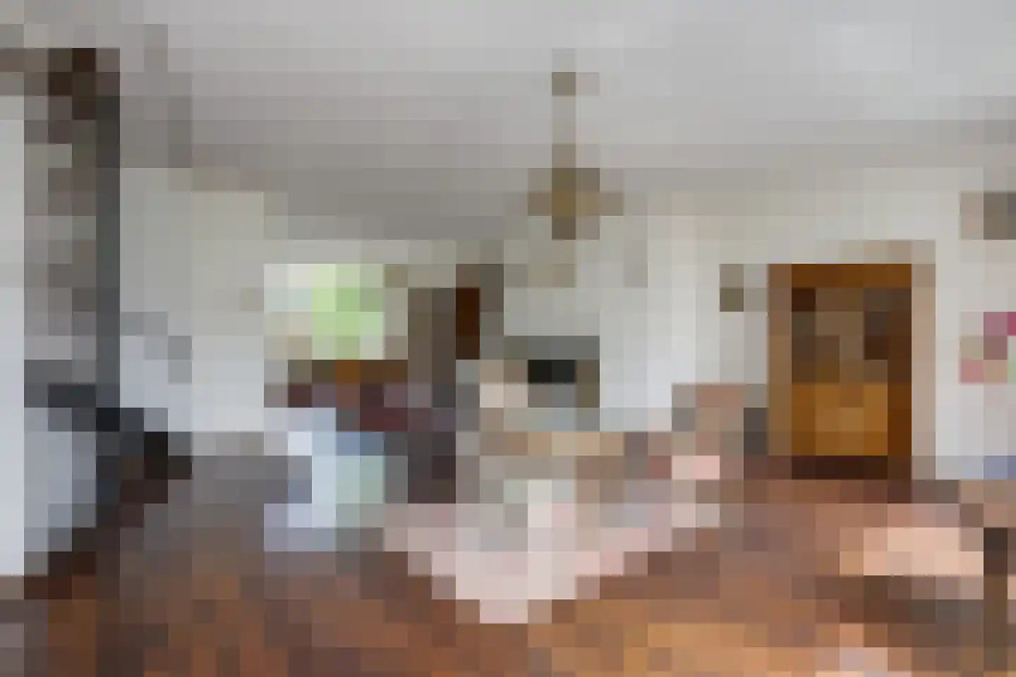 Chopinlaan 19 Voorschoten thumbnail 20
