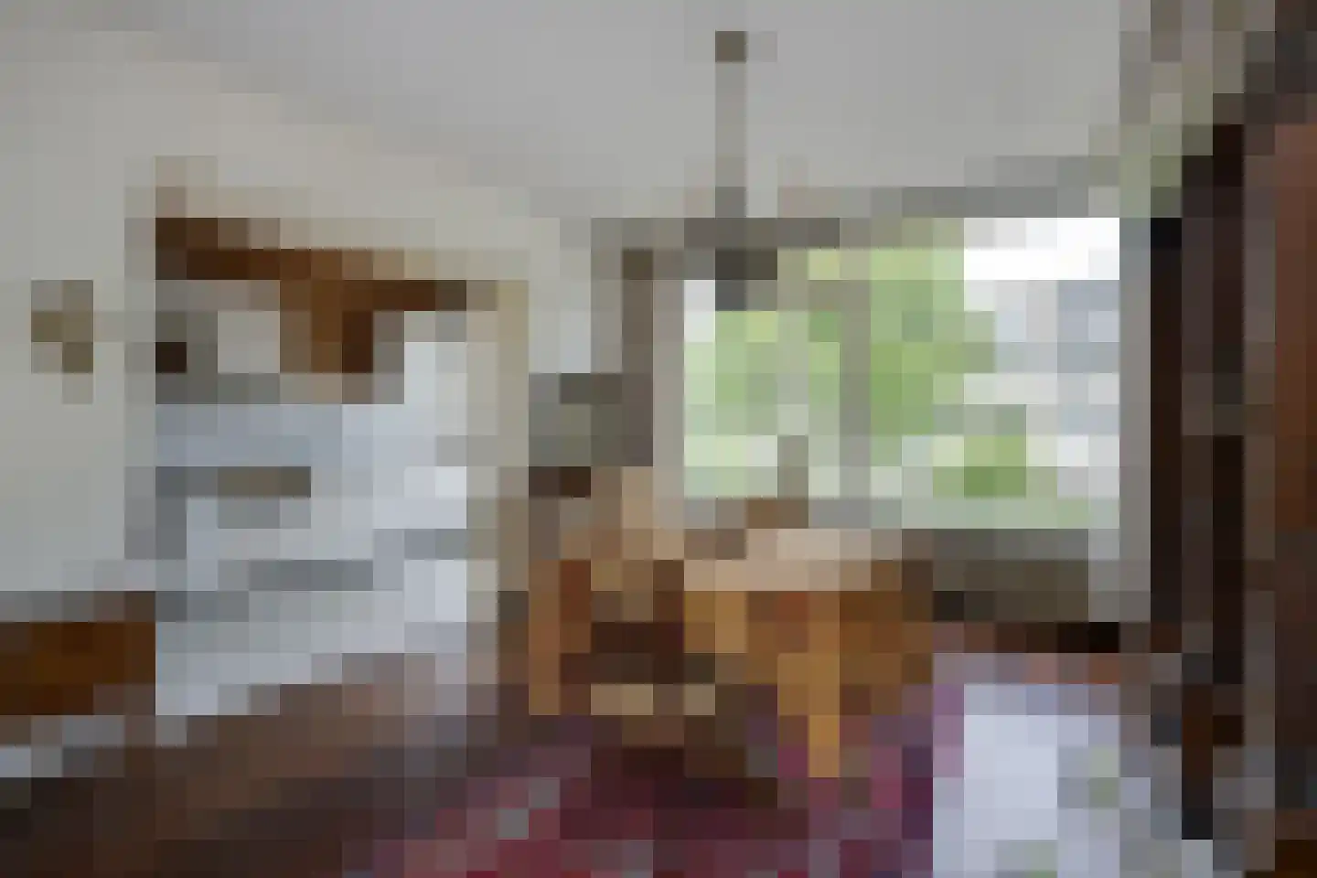 Chopinlaan 19 Voorschoten thumbnail 23