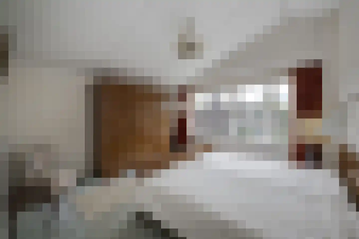 Chopinlaan 19 Voorschoten thumbnail 26