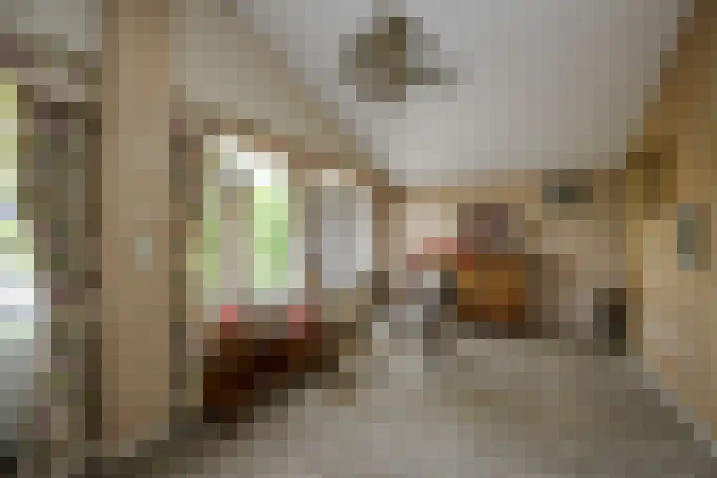 Chopinlaan 19 Voorschoten thumbnail 29