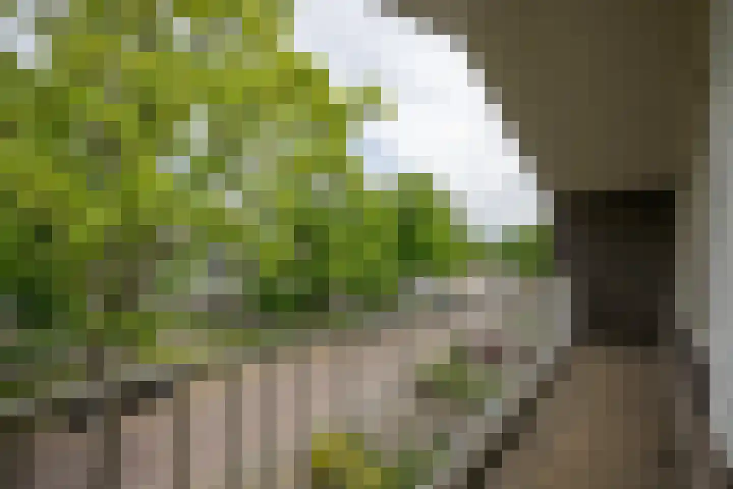 Chopinlaan 19 Voorschoten thumbnail 30