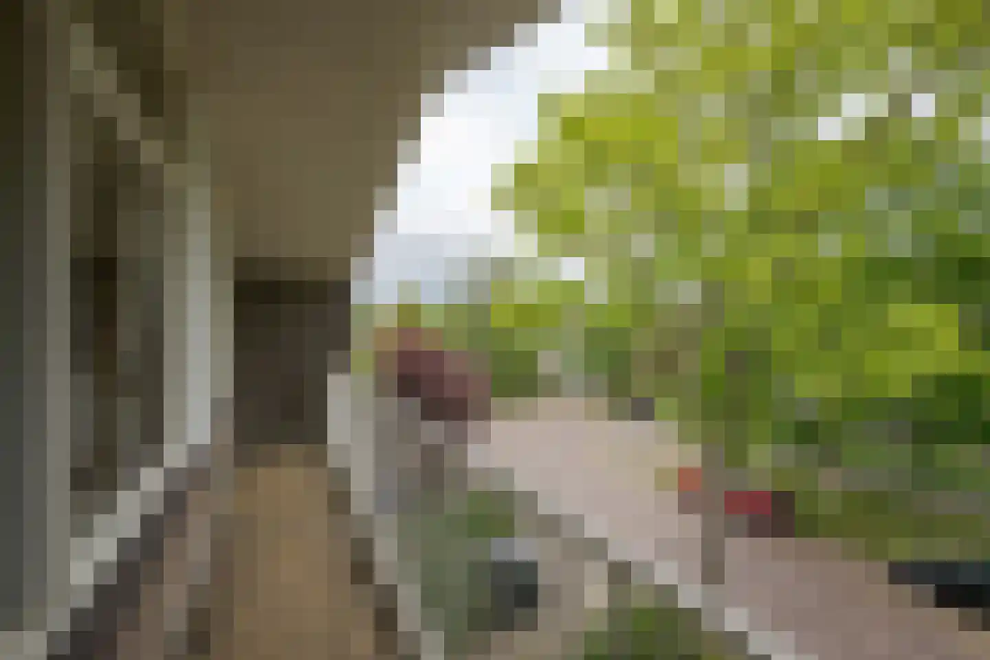 Chopinlaan 19 Voorschoten thumbnail 31