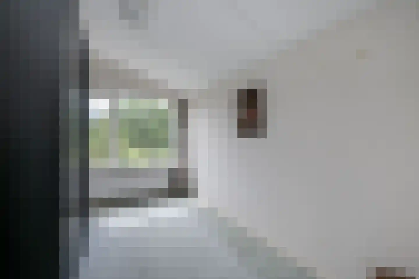 Chopinlaan 19 Voorschoten thumbnail 33