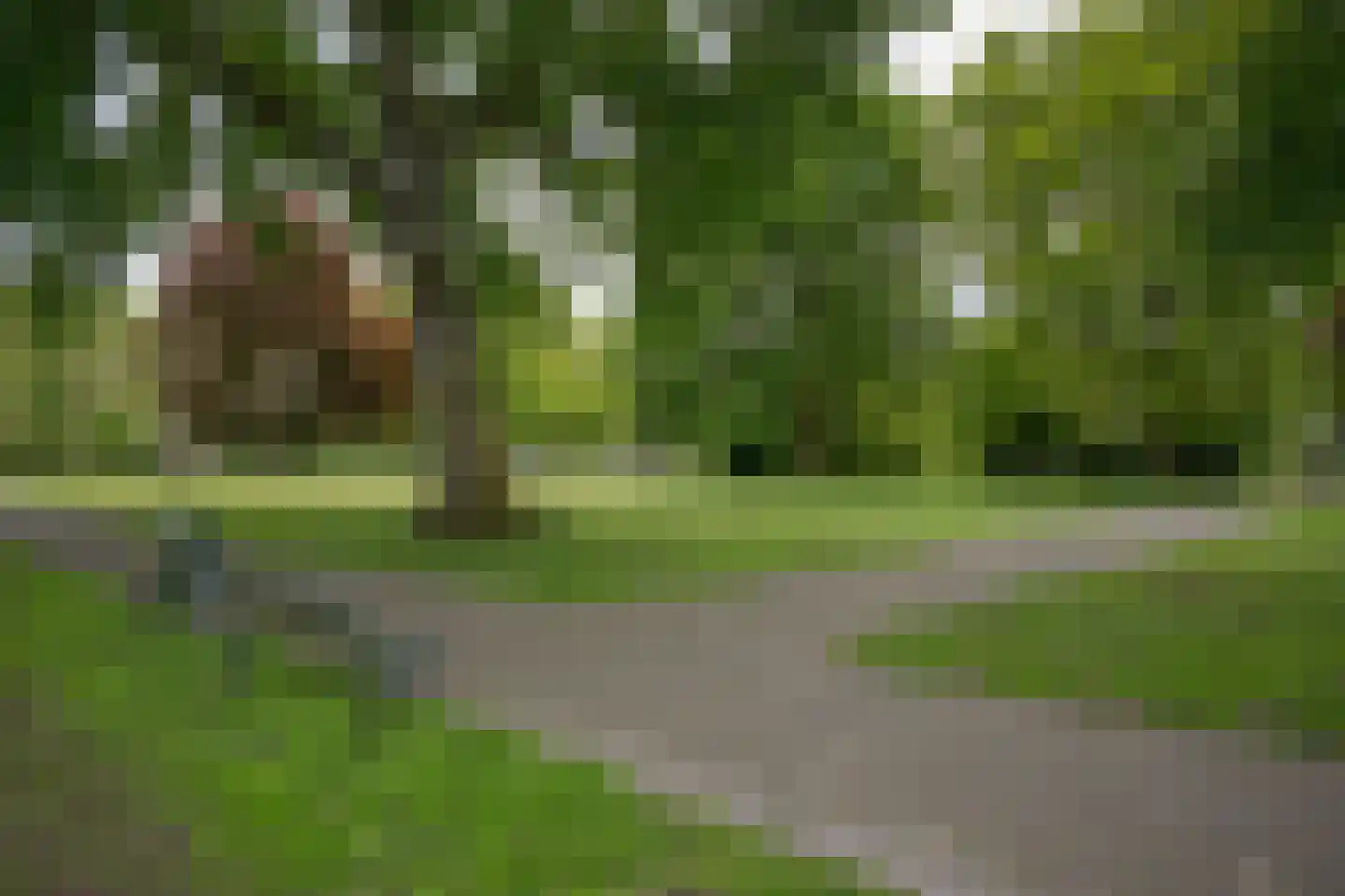 Chopinlaan 19 Voorschoten thumbnail 39
