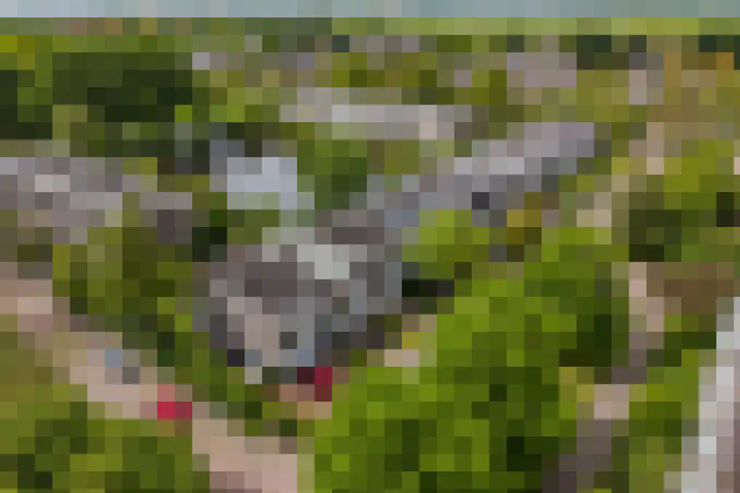 Chopinlaan 19 Voorschoten thumbnail 42
