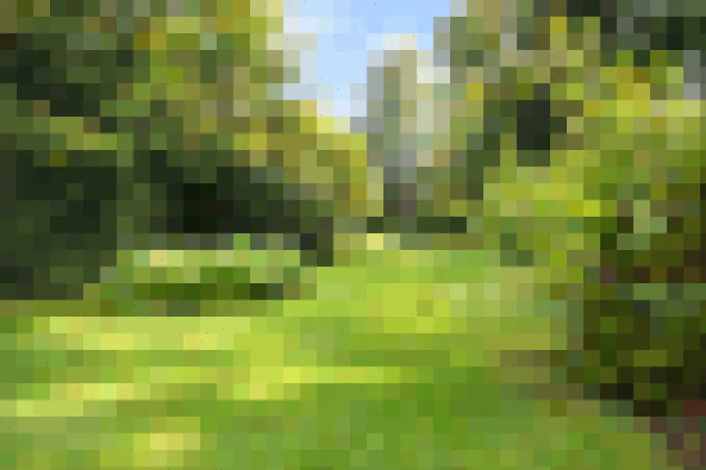 Chopinlaan 2 B6 Naarden thumbnail 19