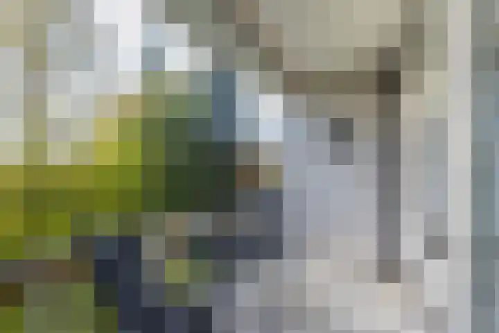 Chopinlaan 2 C7 Naarden thumbnail 22