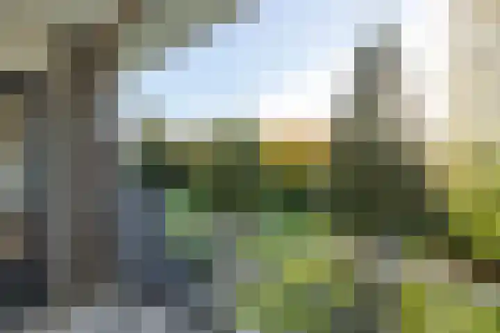 Chopinlaan 2 C7 Naarden thumbnail 23
