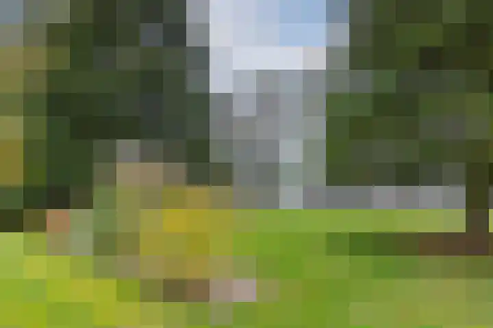 Chopinlaan 2 C7 Naarden thumbnail 29