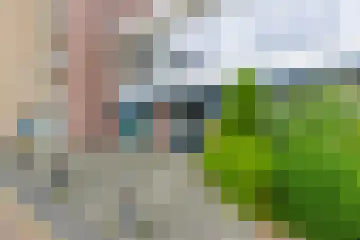 Chopinlaan 2 C7 Naarden thumbnail 30