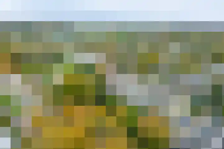 Chopinlaan 2 C7 Naarden thumbnail 31