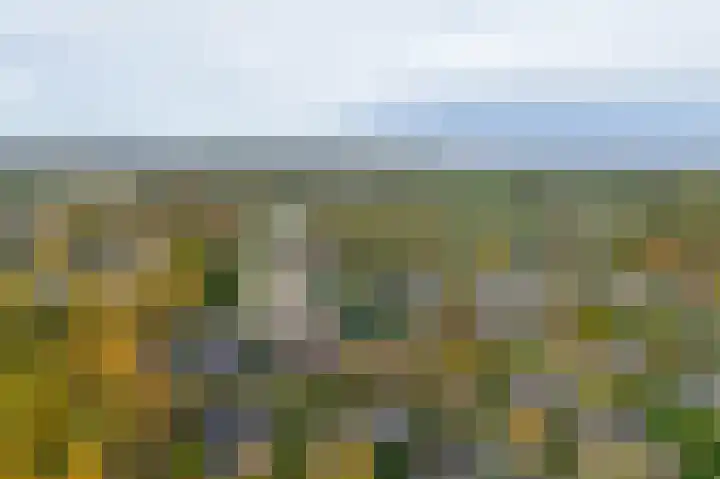 Chopinlaan 2 C7 Naarden thumbnail 32