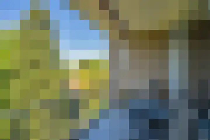 Chopinlaan 2 E9 Naarden thumbnail 14