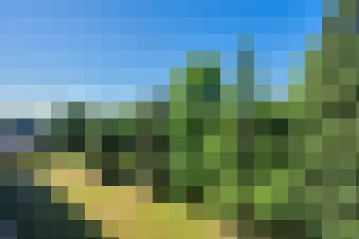 Chopinlaan 2 E9 Naarden thumbnail 15