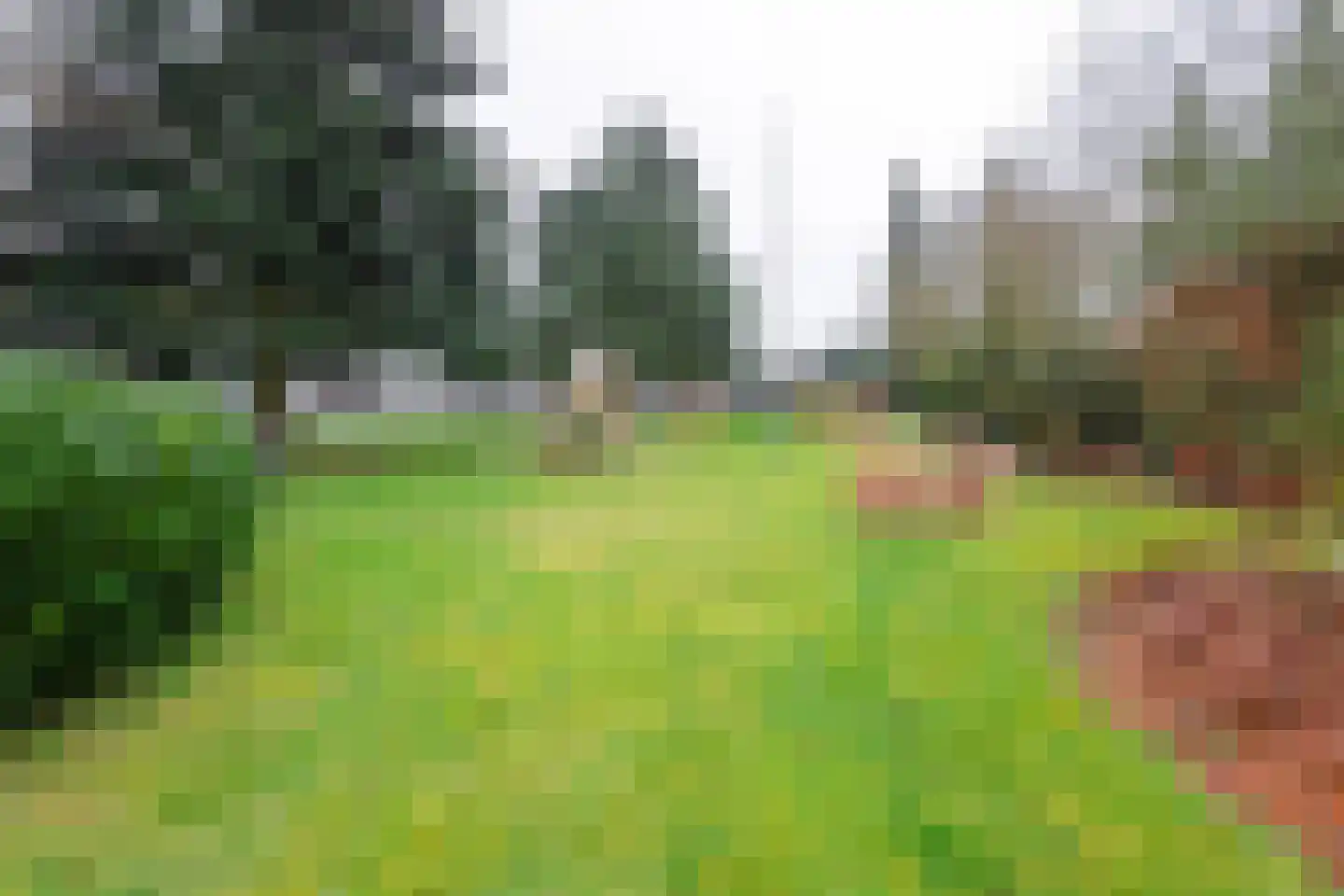 Chopinlaan 2 F1 Naarden thumbnail 38