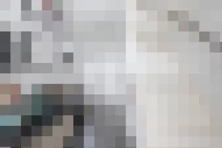 Chopinlaan 2 Waddinxveen thumbnail 11