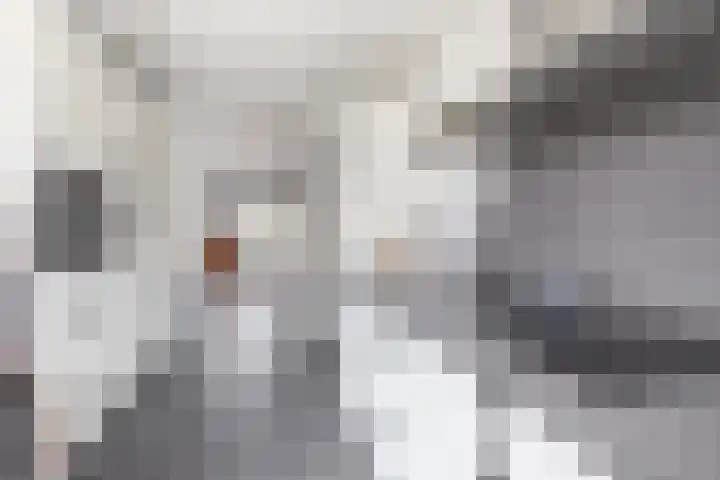 Chopinlaan 2 Waddinxveen thumbnail 18