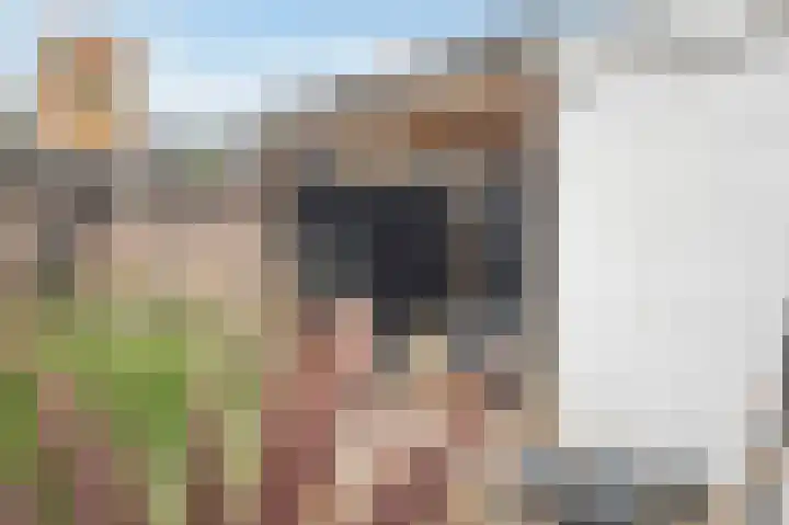 Chopinlaan 2 Waddinxveen thumbnail 25