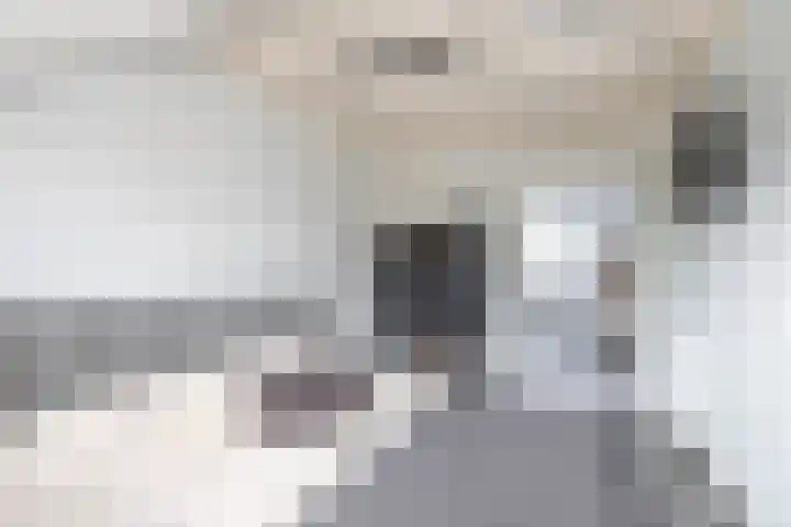 Chopinlaan 2 Waddinxveen thumbnail 32