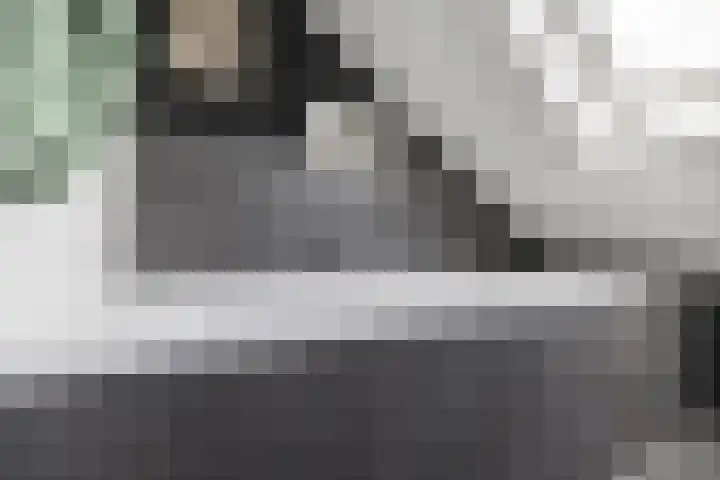 Chopinlaan 2 Waddinxveen thumbnail 34