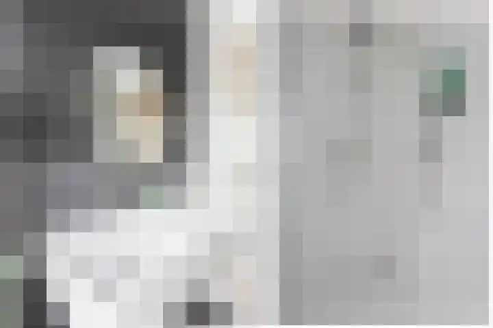 Chopinlaan 2 Waddinxveen thumbnail 35