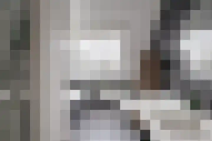 Chopinlaan 2 Waddinxveen thumbnail 4