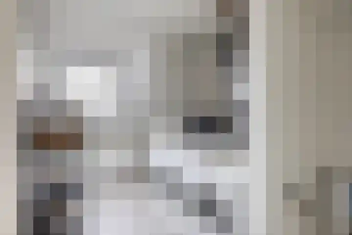 Chopinlaan 2 Waddinxveen thumbnail 43