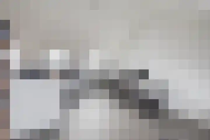 Chopinlaan 2 Waddinxveen thumbnail 44