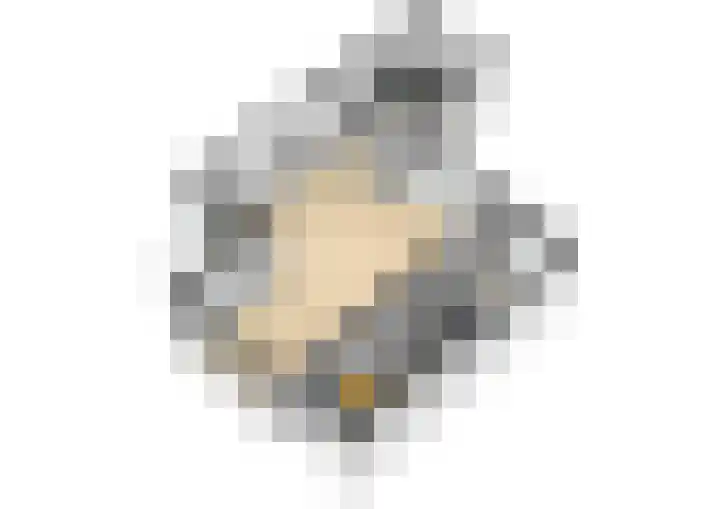 Chopinlaan 2 Waddinxveen thumbnail 50