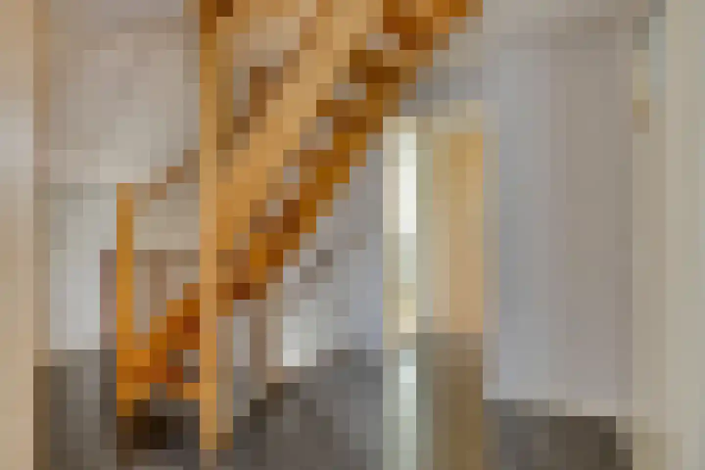 Chopinlaan 20 Goes thumbnail 23