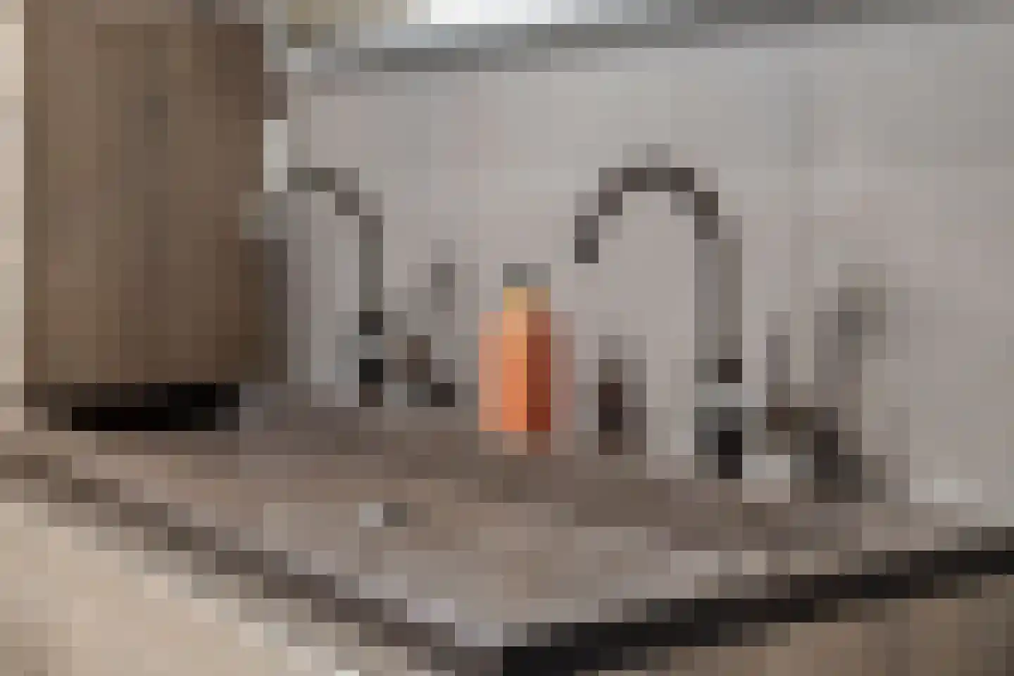 Chopinlaan 20 Goes thumbnail 25
