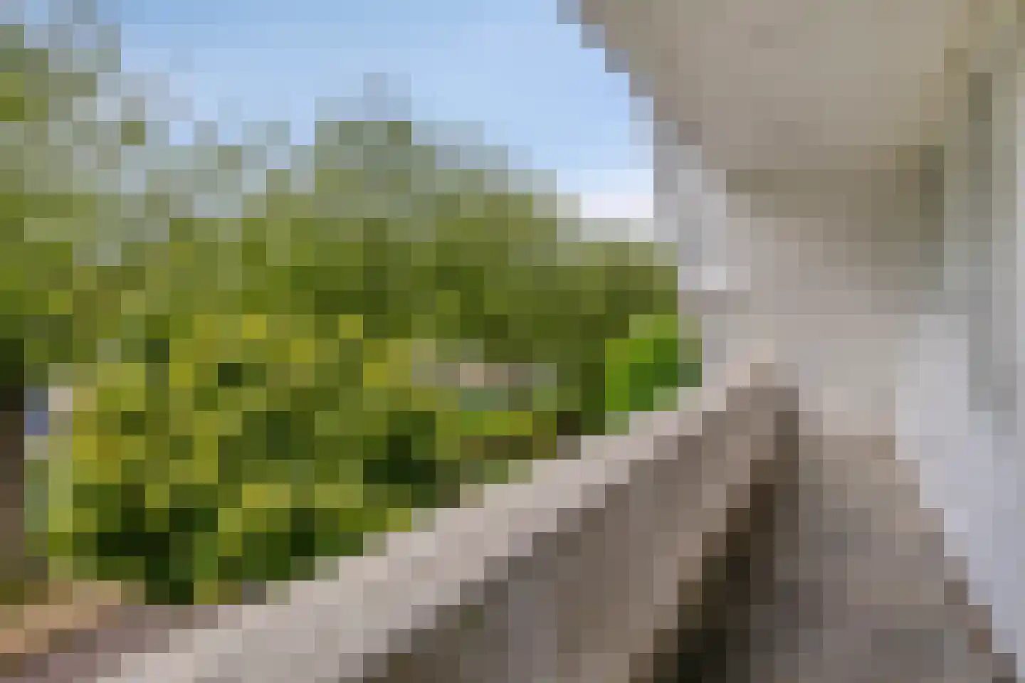 Chopinlaan 20 Goes thumbnail 35