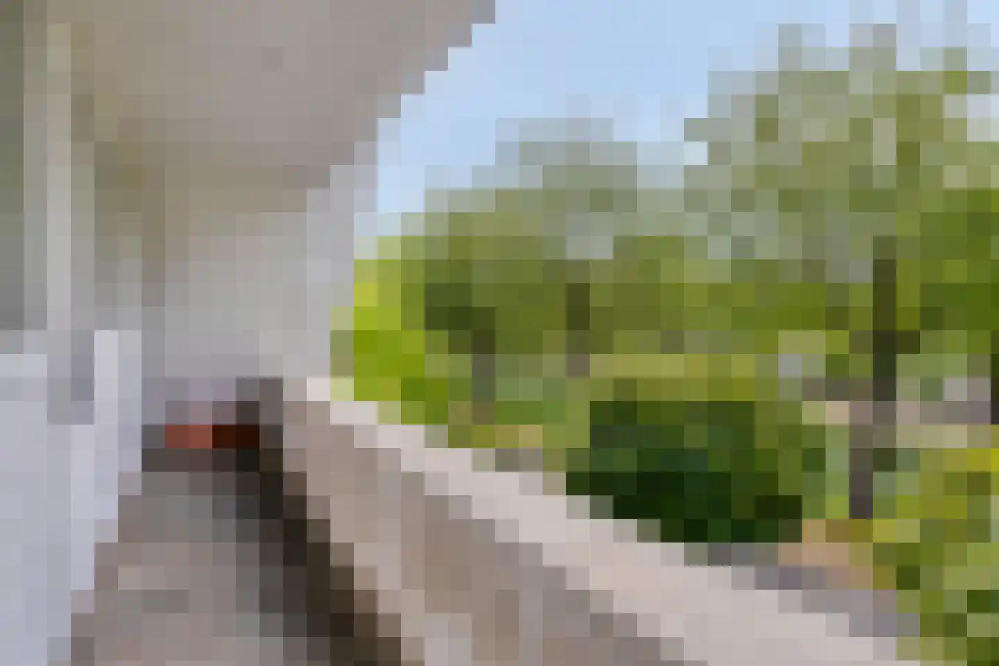 Chopinlaan 20 Goes thumbnail 36