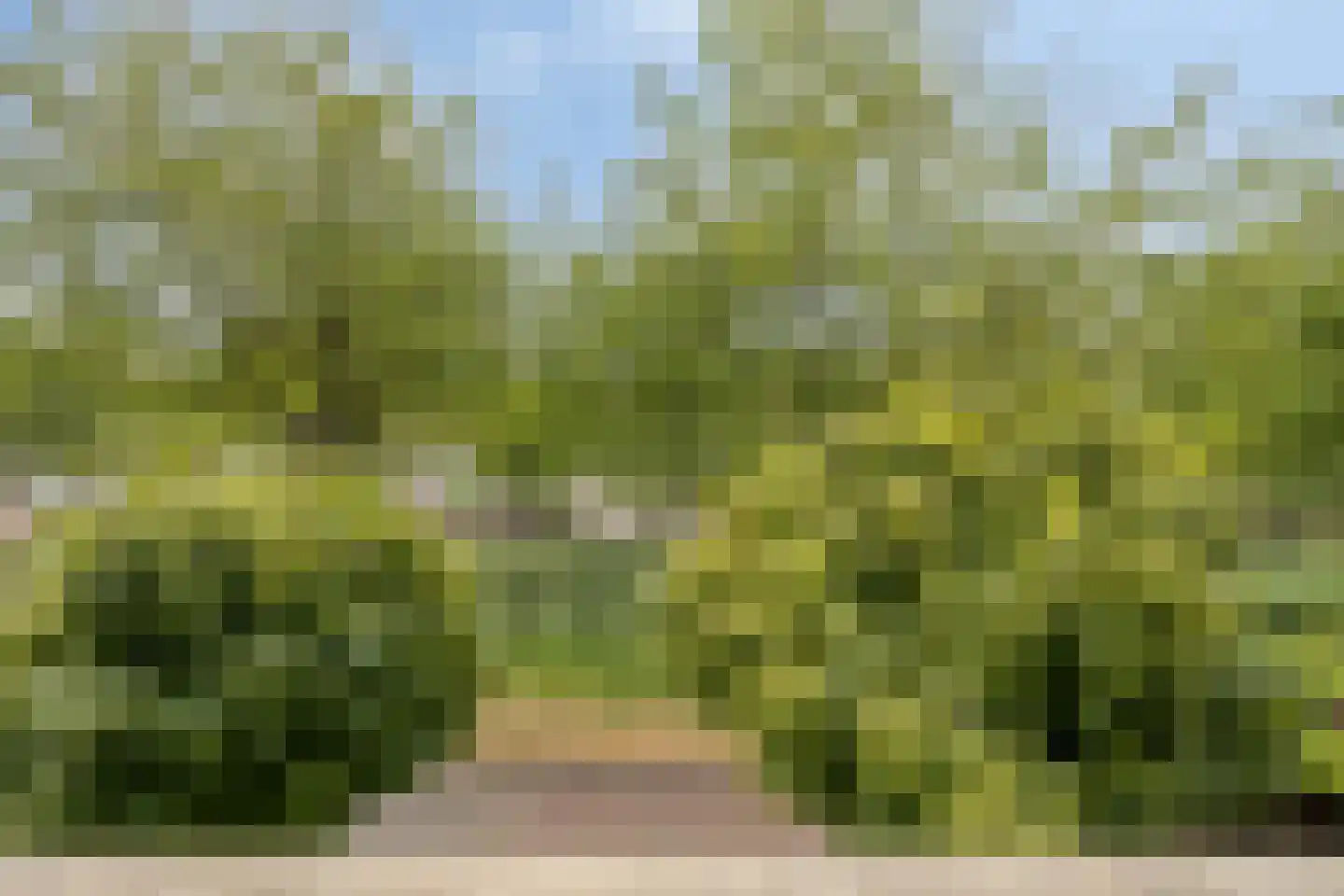 Chopinlaan 20 Goes thumbnail 37