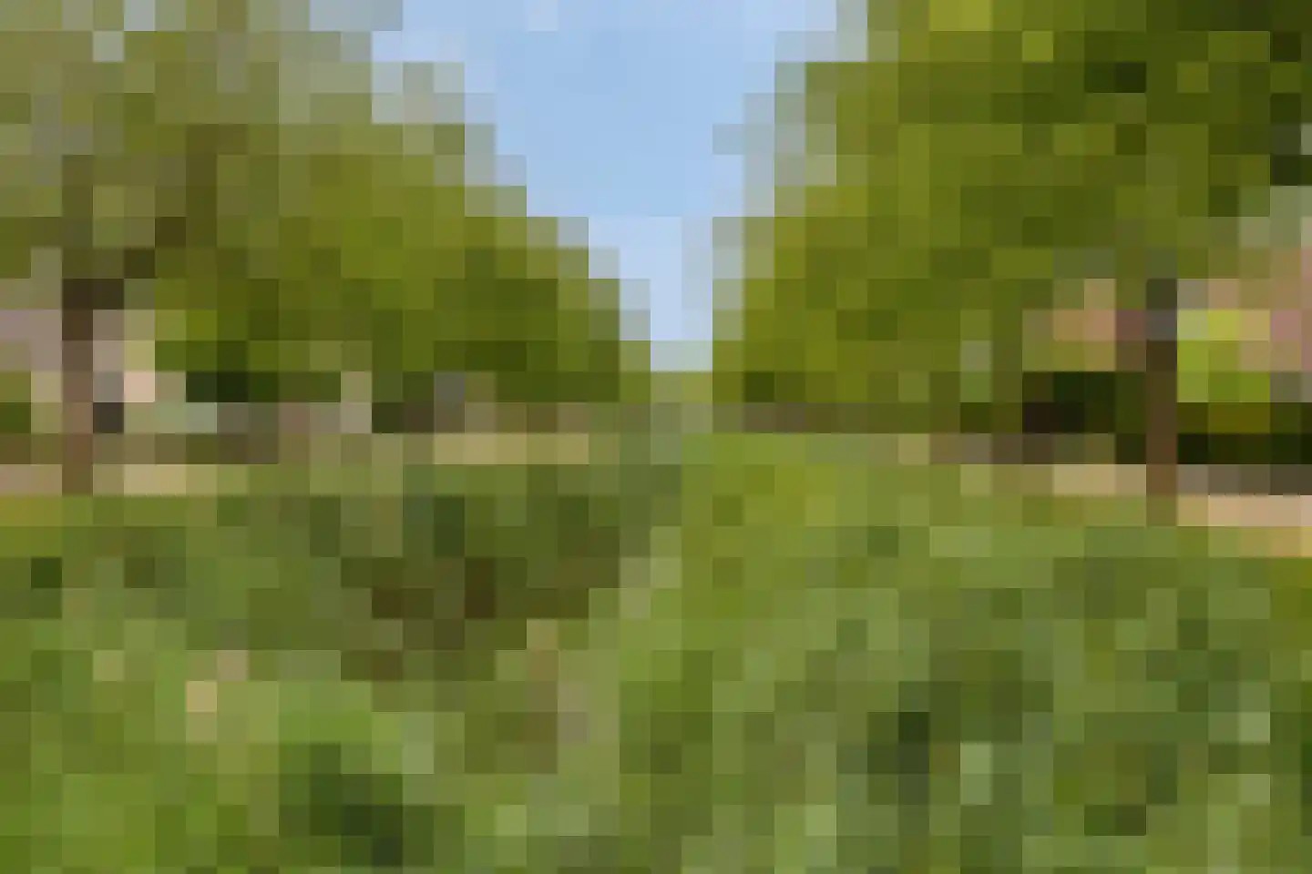 Chopinlaan 20 Goes thumbnail 4