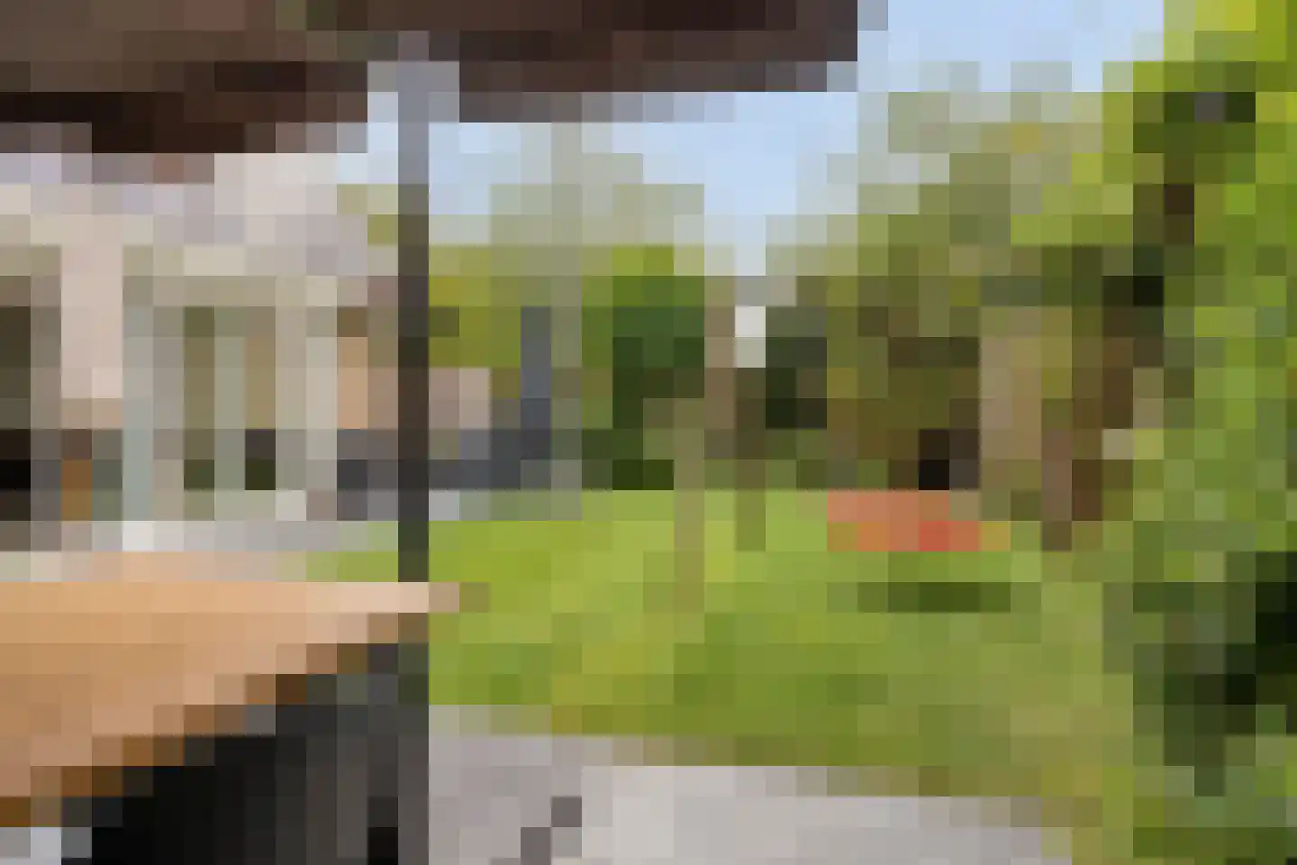 Chopinlaan 20 Goes thumbnail 46