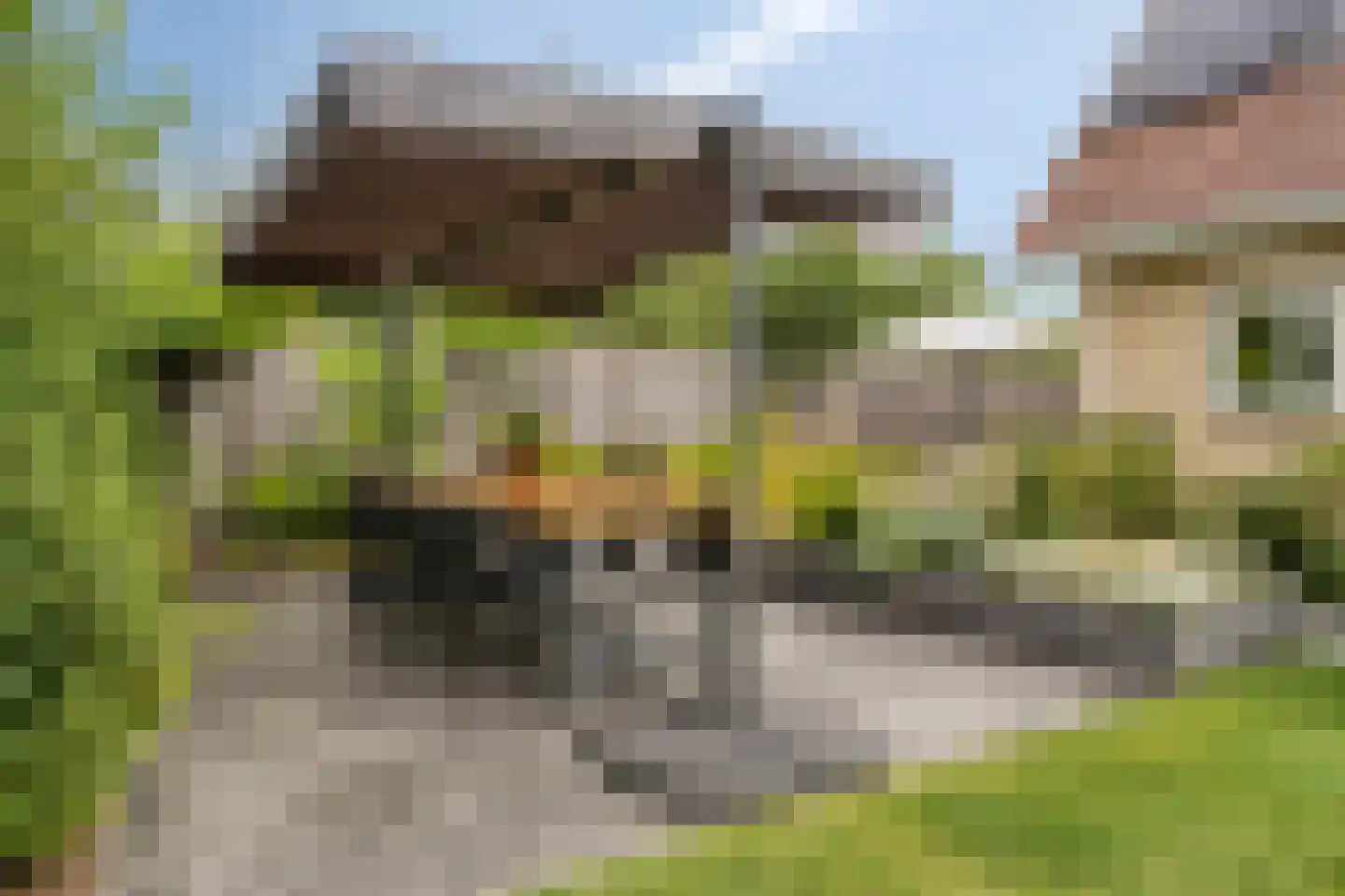 Chopinlaan 20 Goes thumbnail 47