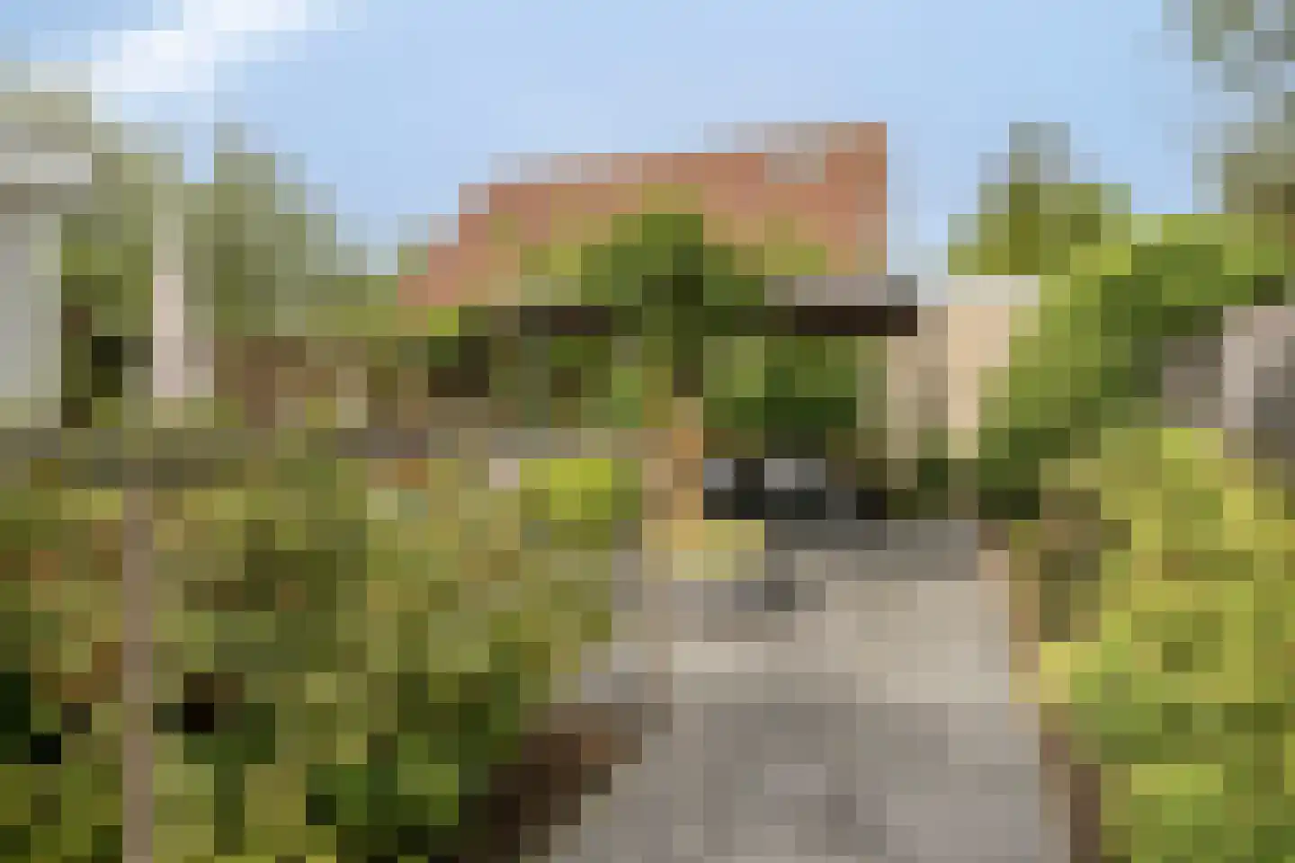 Chopinlaan 20 Goes thumbnail 50