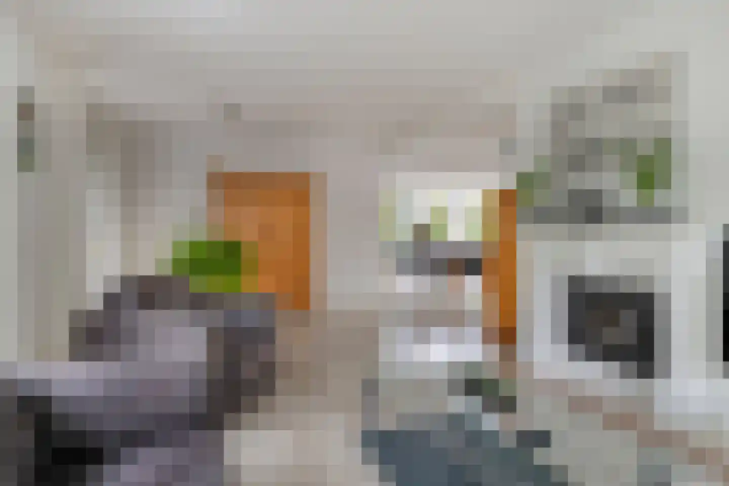 Chopinlaan 20 Goes thumbnail 9