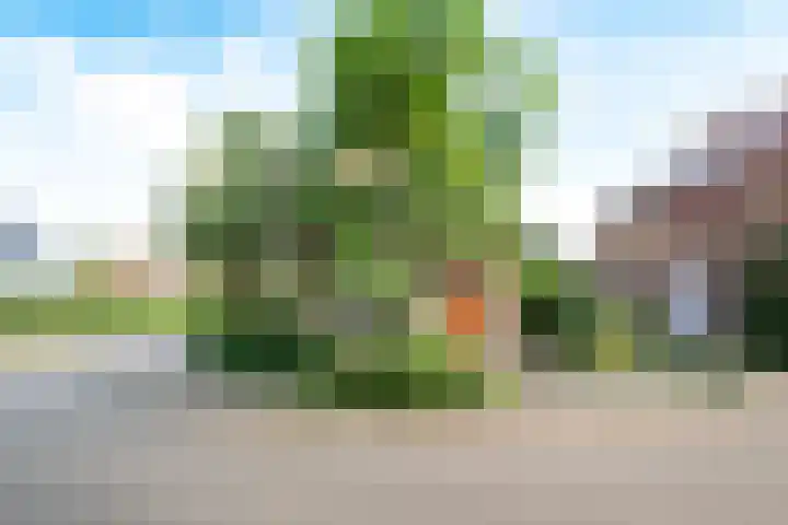 Chopinlaan 27 Apeldoorn thumbnail 10