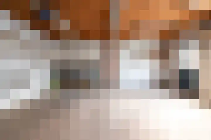 Chopinlaan 27 Apeldoorn thumbnail 26