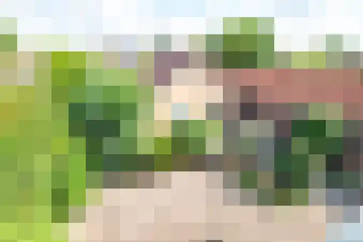 Chopinlaan 27 Apeldoorn thumbnail 33