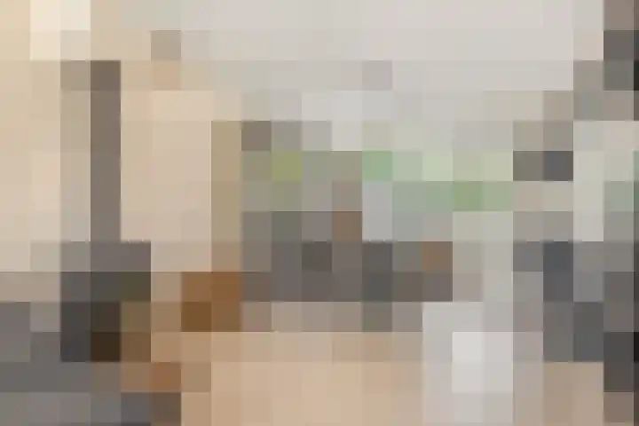 Chopinlaan 28 Waddinxveen thumbnail 11