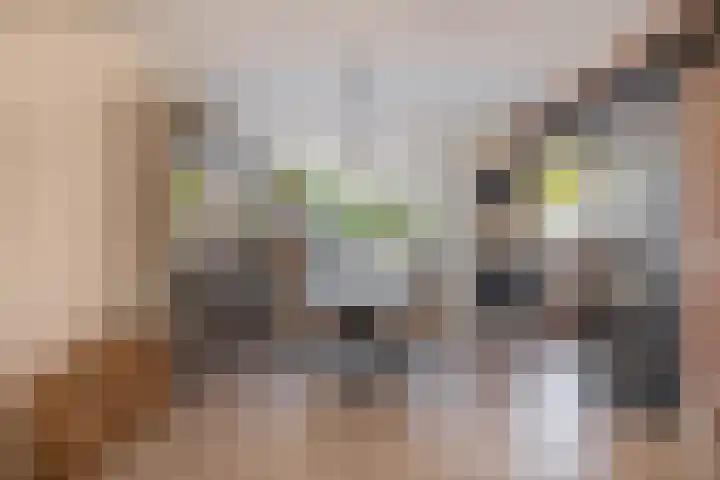 Chopinlaan 28 Waddinxveen thumbnail 12